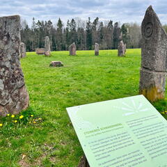 23-04-30 14-19-20 5246